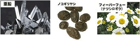 �`���b�v�A�b�v�T�v���̐���