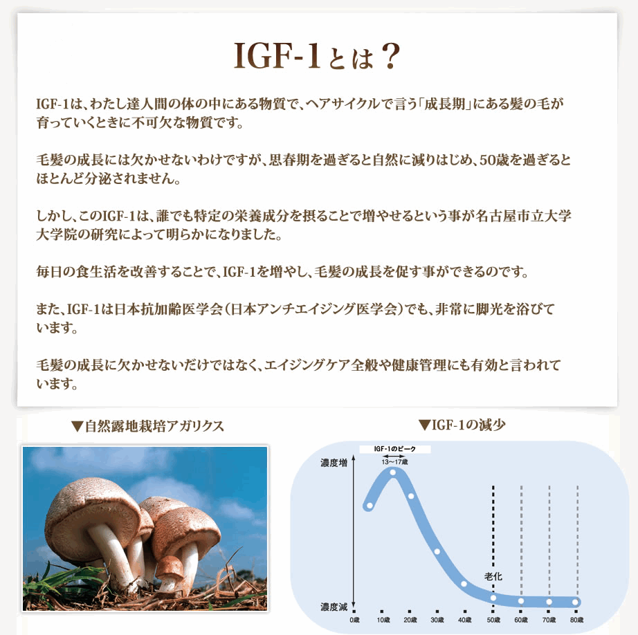 �h�f�e�|�P�Ƃ�