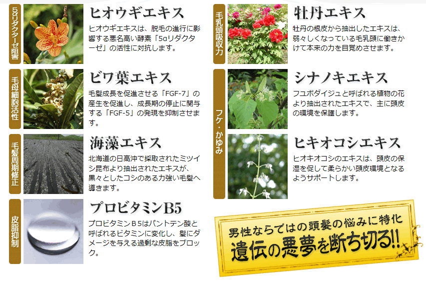 ��p�v�����e���̐���