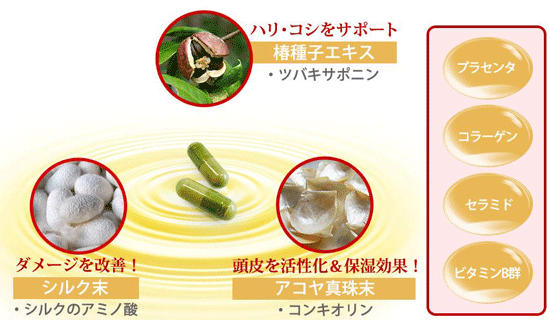 �y�����Ƃ蔯�͂z�̐���